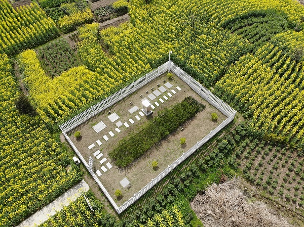 僅需2周，水質(zhì)就穩(wěn)定達(dá)標(biāo)！這種一體化生活污水處理設(shè)備供不應(yīng)求